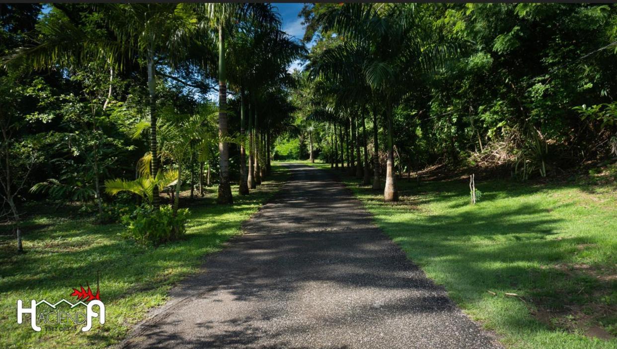 Hacienda Tres Casitas Guest House Cabo Rojo Exterior photo